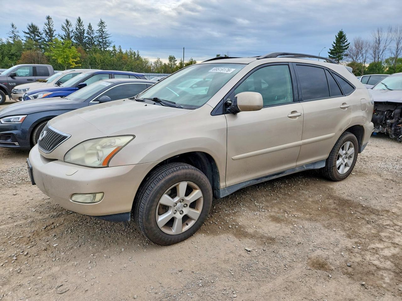2006 LEXUS RX 330 | 2T2HA31U26C109198 | UPCARS