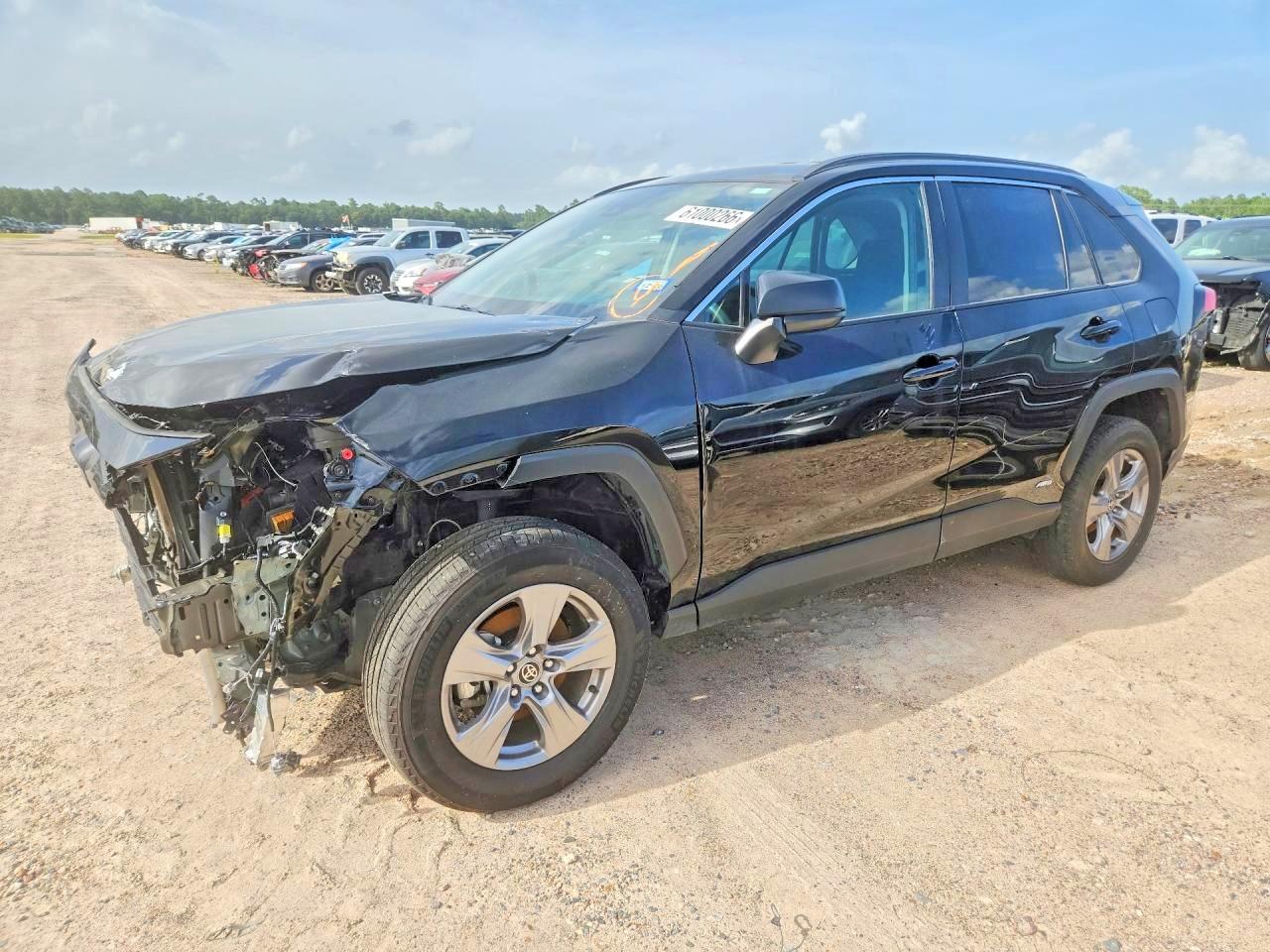 2025 TOYOTA RAV4 LE | 2T3LWRFV6SW270884 | UPCARS