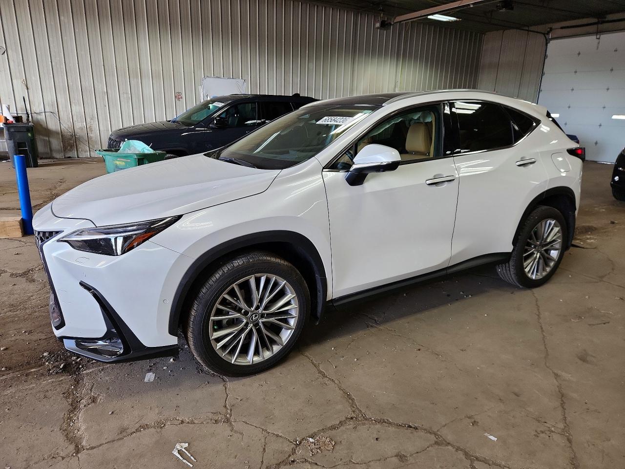 2025 LEXUS NX 350 LUXURY | 2T2HGCEZ9SC087666 | UPCARS