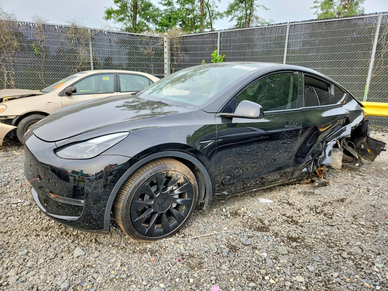 2023 TESLA MODEL Y | 7SAYGDEE8PF778295 | UPCARS
