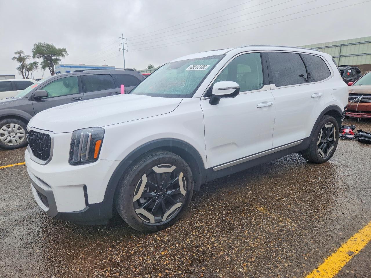 2024 KIA TELLURID EX | 5XYP3DGC6RG411505 | UPCARS