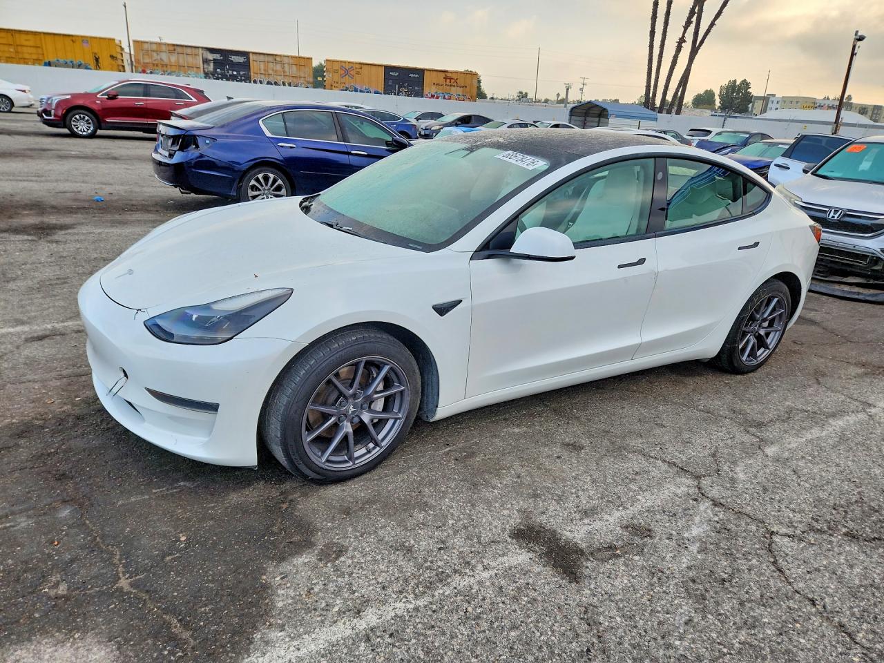 2021 TESLA MODEL 3 | 5YJ3E1EA8MF028836 | UPCARS