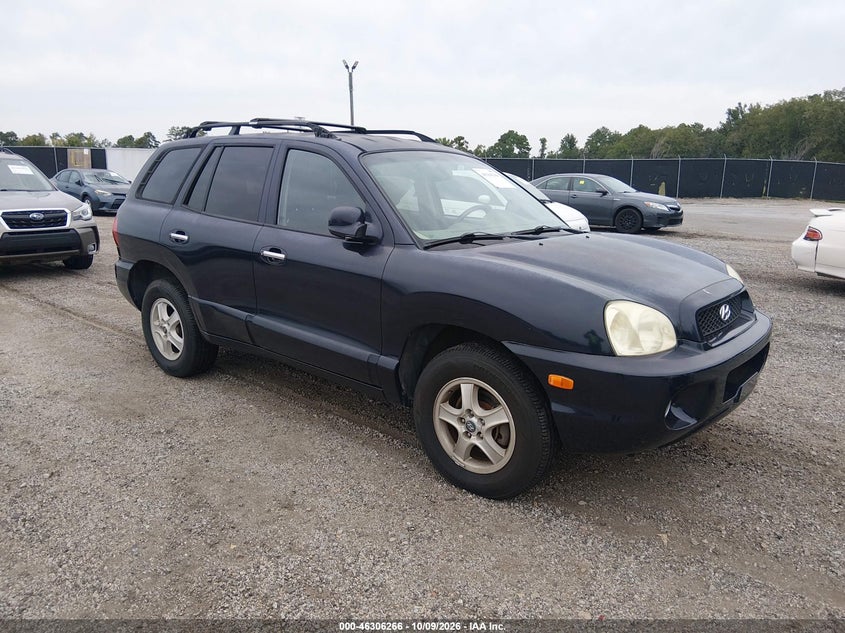 2004 HYUNDAI SANTA FE GLS/LX | KM8SC13E24U600591 | UPCARS