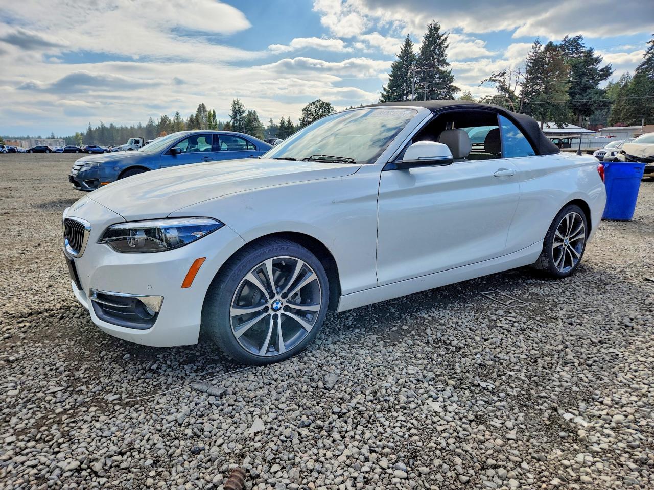 2019 BMW 2 SERIES | WBA2K1C58KVD41863 | UPCARS