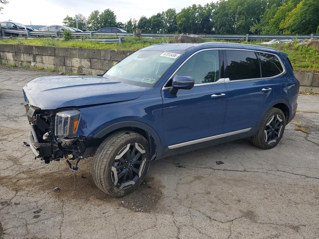 2024 KIA TELLURIDE S | 5XYP6DGC5RG474280 | UPCARS