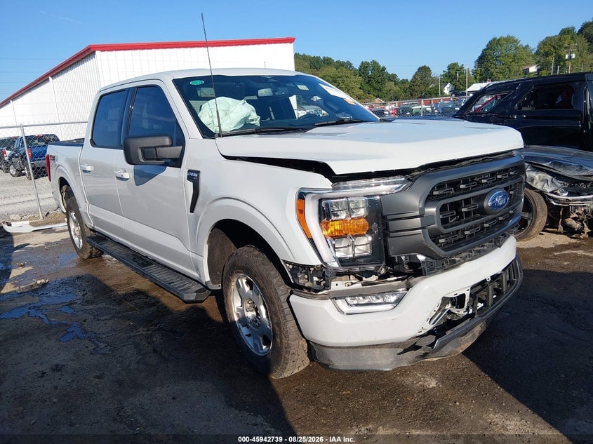 2023 FORD F-150 XLT | 1FTFW1E82PFB31788 | UPCARS