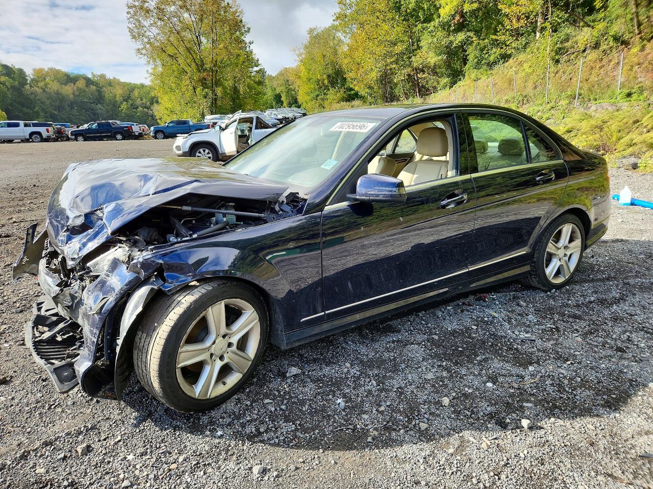 2010 MERCEDES-BENZ C-CLASS 300 4MATIC | WDDGF8BB7AR106085 | UPCARS