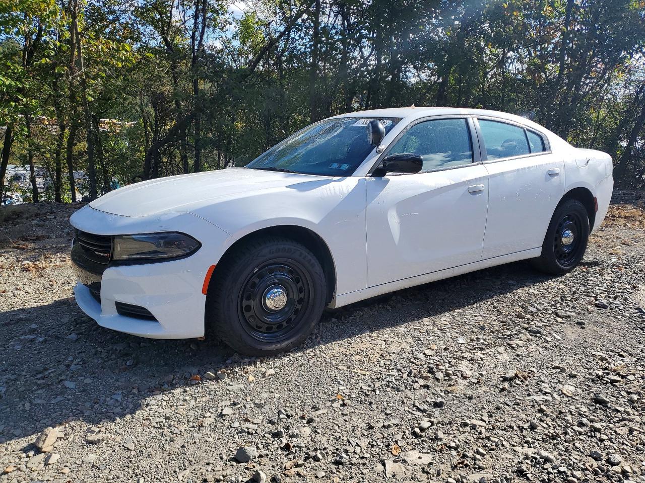 2023 DODGE CHARGER POLICE | 2C3CDXKG5PH584944 | UPCARS