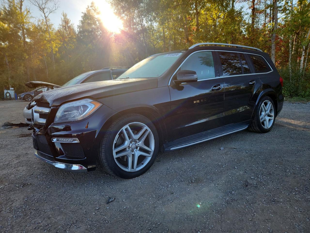 2014 MERCEDES-BENZ GL-CLASS 350 BLUETEC | 4JGDF2EE7EA275555 | UPCARS