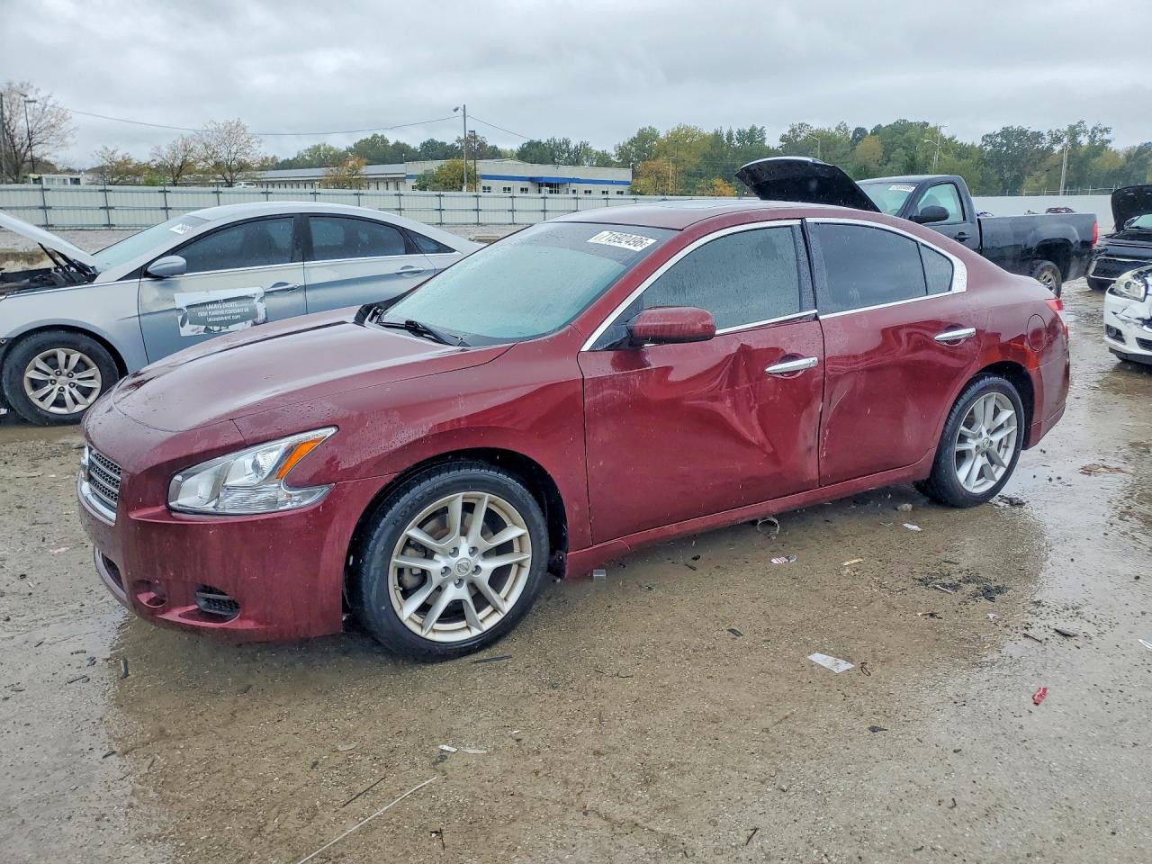 2009 NISSAN MAXIMA 3.5 S | 1N4AA51E49C845489 | UPCARS