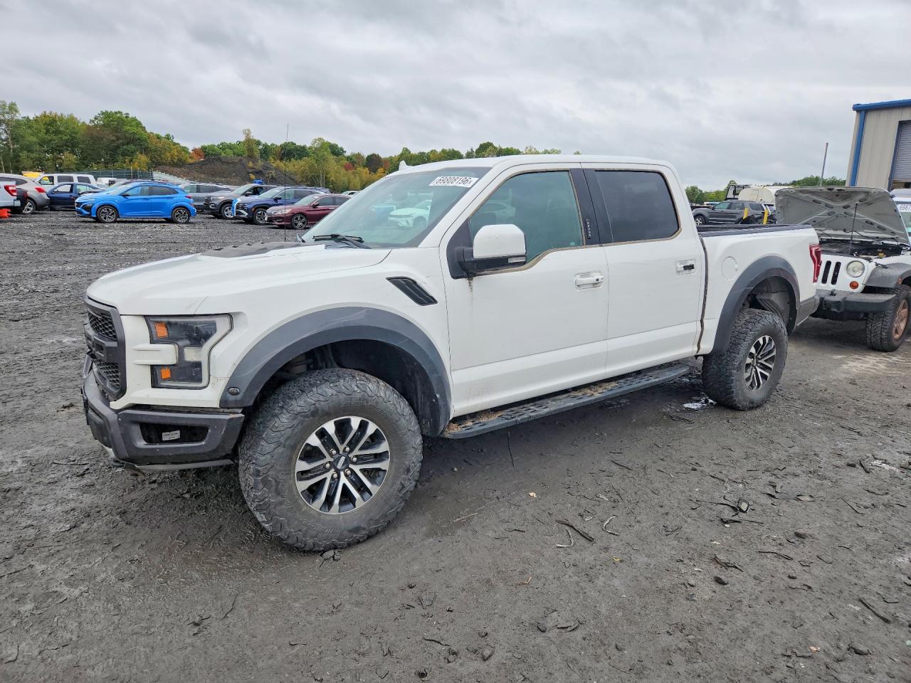 2019 FORD F150 RAPTOR | 1FTFW1RG2KFA41728 | UPCARS