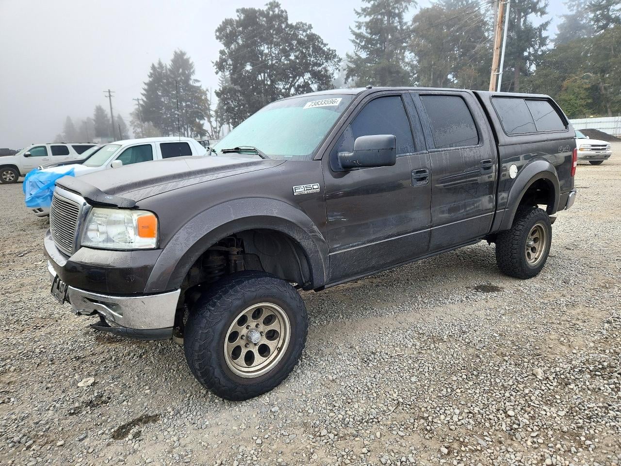 2005 FORD F150 SUPERCREW | 1FTPW14575FA11431 | UPCARS