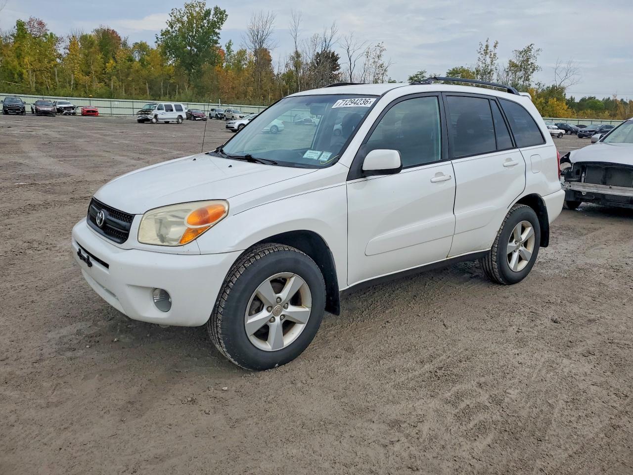2004 TOYOTA RAV4 BASE | JTEHD20V040026257 | UPCARS
