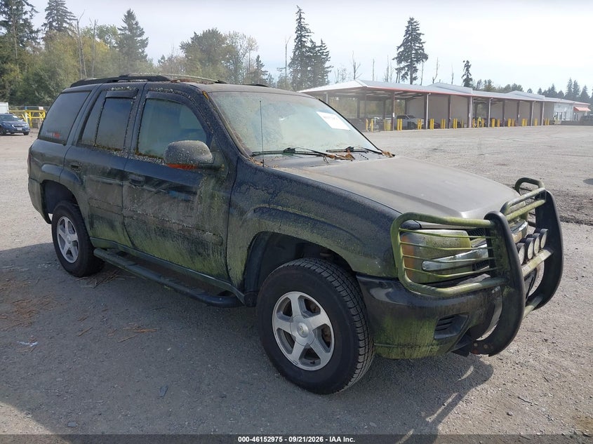 2006 CHEVROLET TRAILBLAZER LS | 1GNDT13S862262798 | UPCARS