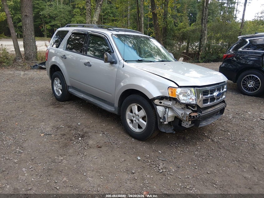 2009 FORD ESCAPE XLT | 1FMCU03G69KC59423 | UPCARS