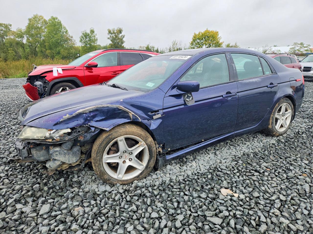 2006 ACURA TL | 19UUA66256A028889 | UPCARS