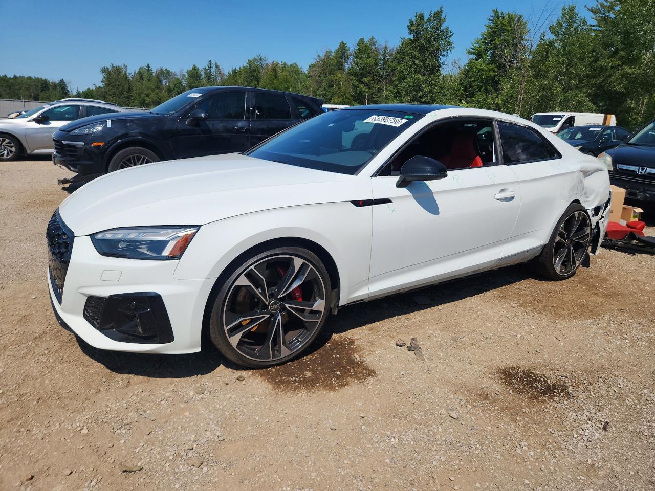 2024 AUDI S5/RS5 PRESTIGE | WAUR4AF51RA126103 | UPCARS