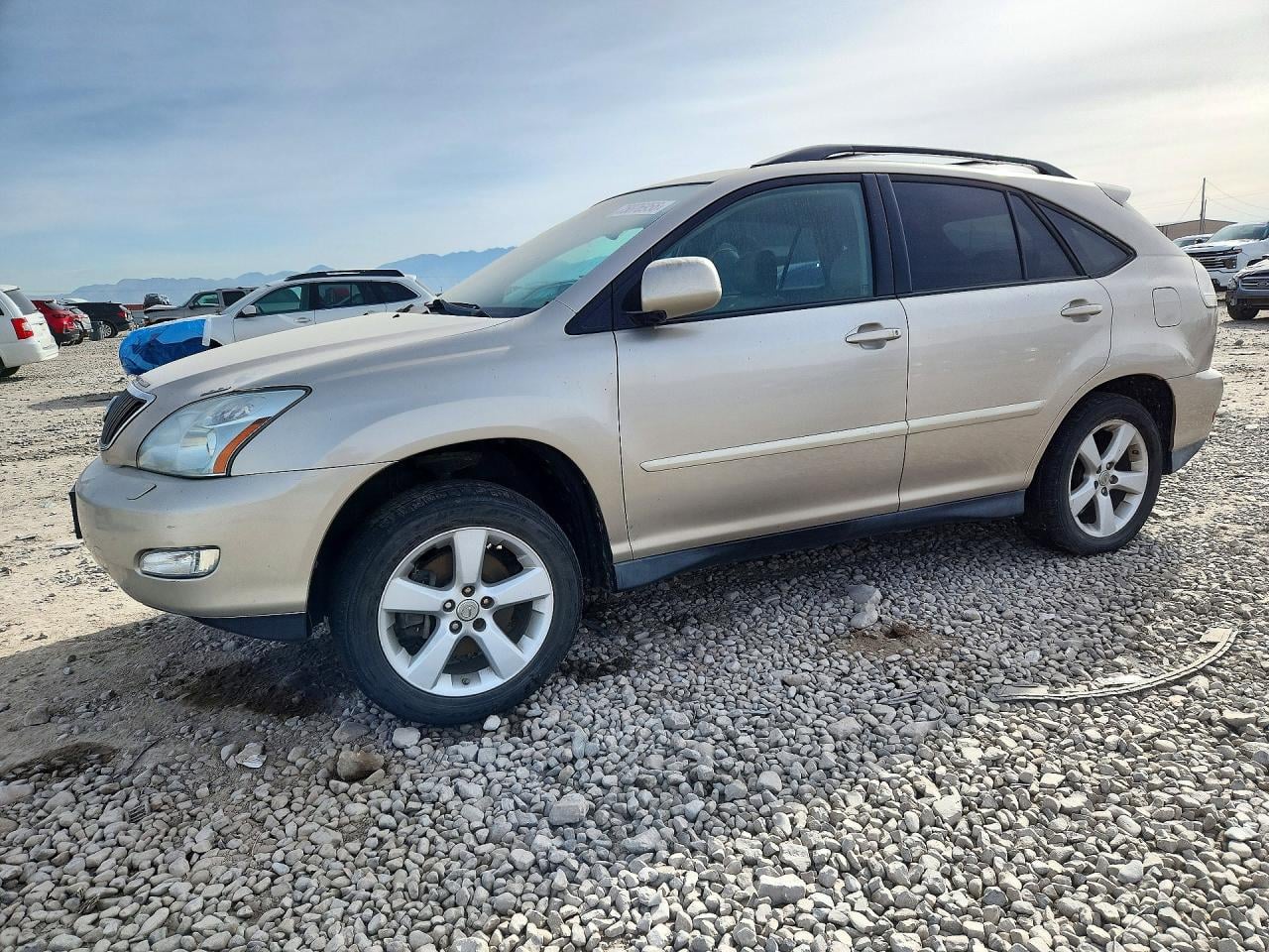 2007 LEXUS RX 350 | 2T2GK31U77C005669 | UPCARS