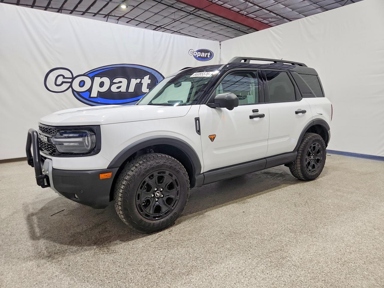 2025 FORD BRONCO BADLANDS | 3FMCR9DA7SRE67473 | UPCARS