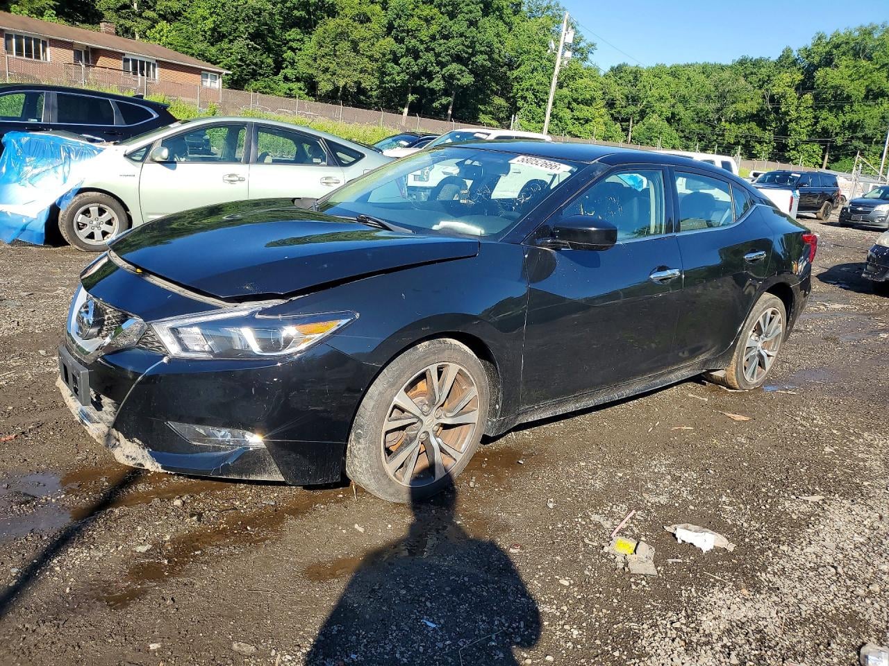 2016 NISSAN MAXIMA | 1N4AA6AP8GC906007 | UPCARS