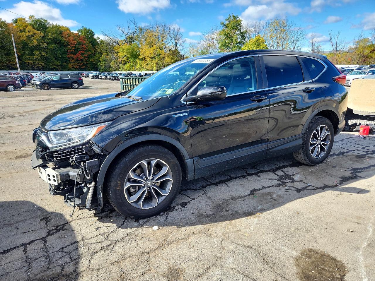 2022 HONDA CRV EXL | 5J6RT6H83NL052654 | UPCARS