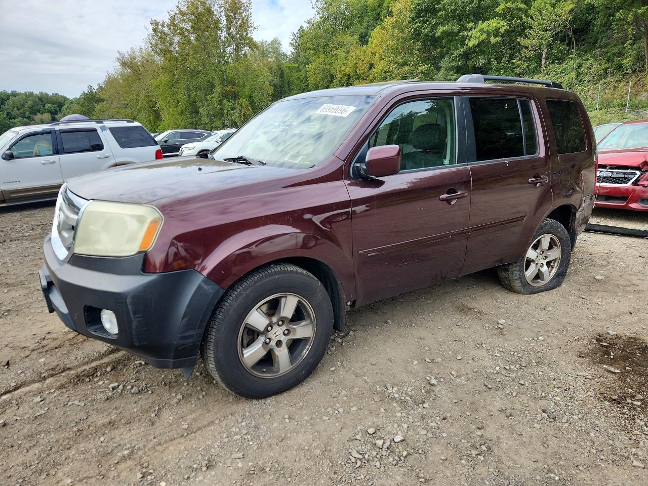 2010 HONDA PILOT EXL | 5FNYF4H69AB003533 | UPCARS