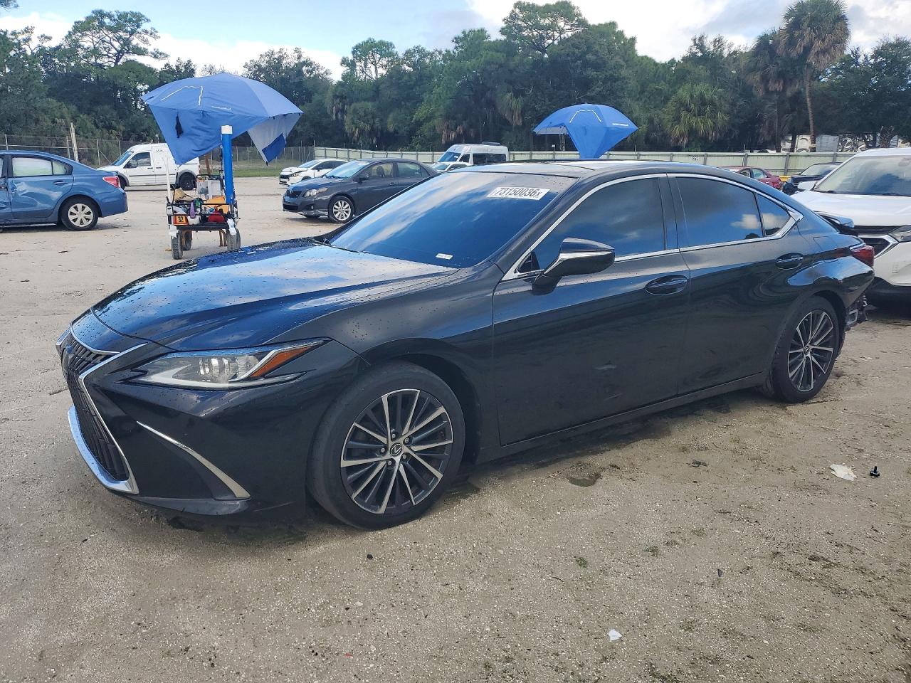 2022 LEXUS ES BASE | 58ADZ1B12NU128585 | UPCARS