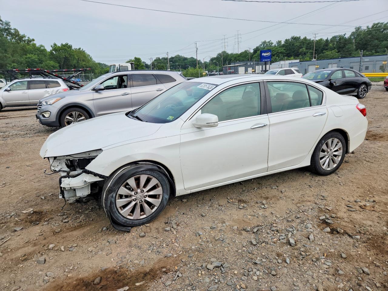 2014 HONDA ACCORD EXL | 1HGCR2F81EA276864 | UPCARS