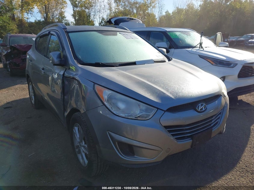 2010 HYUNDAI TUCSON GLS | KM8JU3AC4AU037819 | UPCARS