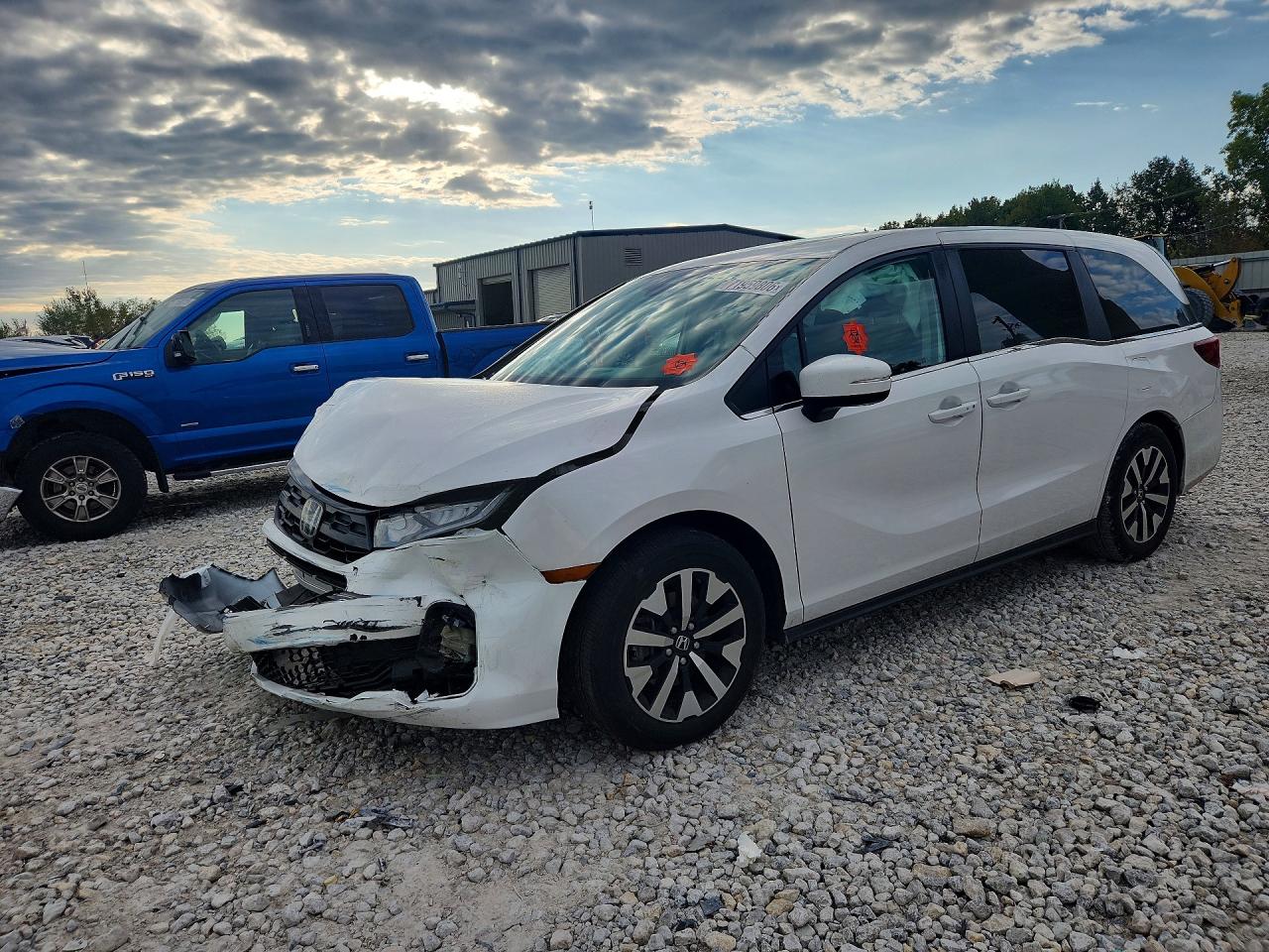 2025 HONDA ODYSSEY EXL | 5FNRL6H60SB029187 | UPCARS