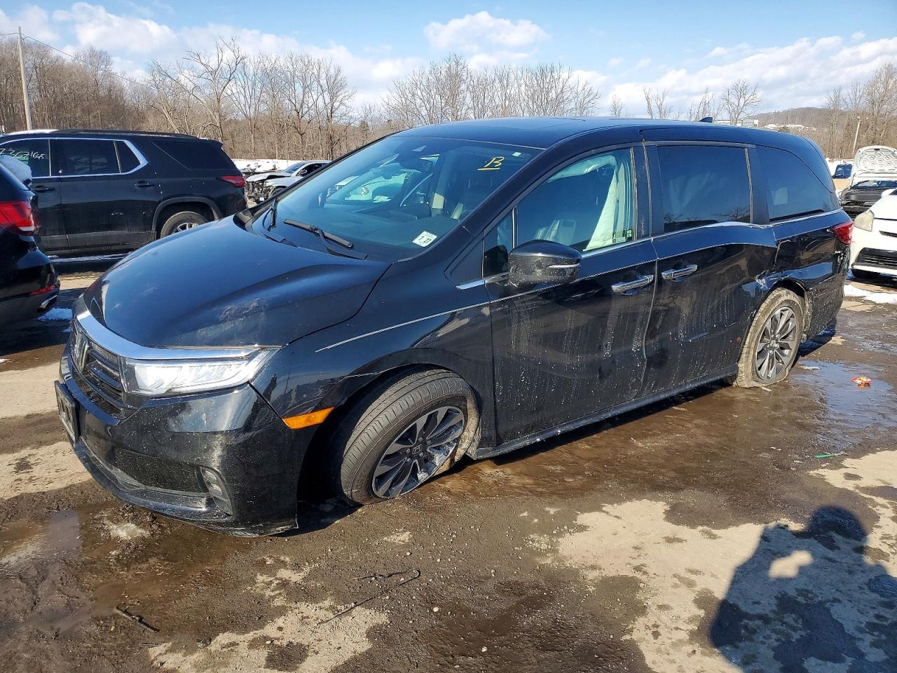 2023 HONDA ODYSSEY EXL | 5FNRL6H67PB001880 | UPCARS