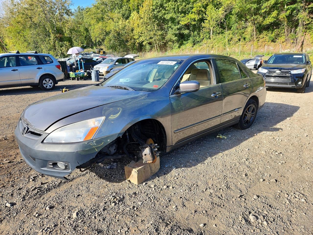 2006 HONDA ACCORD EX | 1HGCM56796A146226 | UPCARS