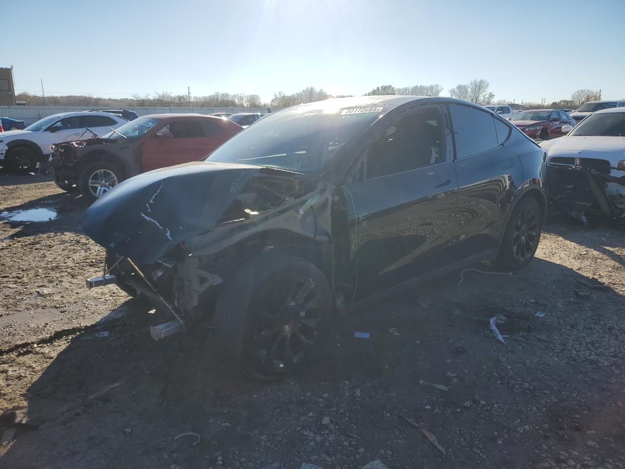 2020 TESLA MODEL Y | 5YJYGDEE4LF025709 | UPCARS