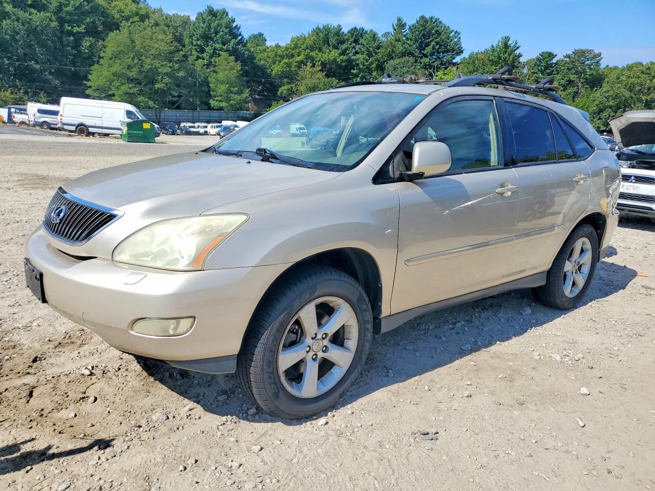 2004 LEXUS RX 330 | JTJHA31U740024169 | UPCARS