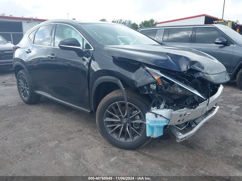 2025 LEXUS NX 250 | 2T2ADCAZ9SC018640 | UPCARS