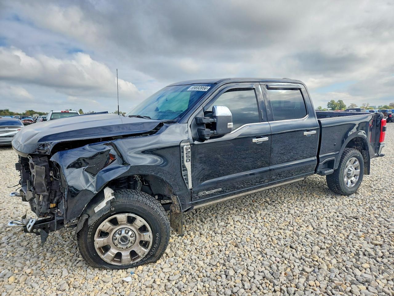 2024 FORD F250 SUPER DUTY | 1FT8W2BT5REE32619 | UPCARS