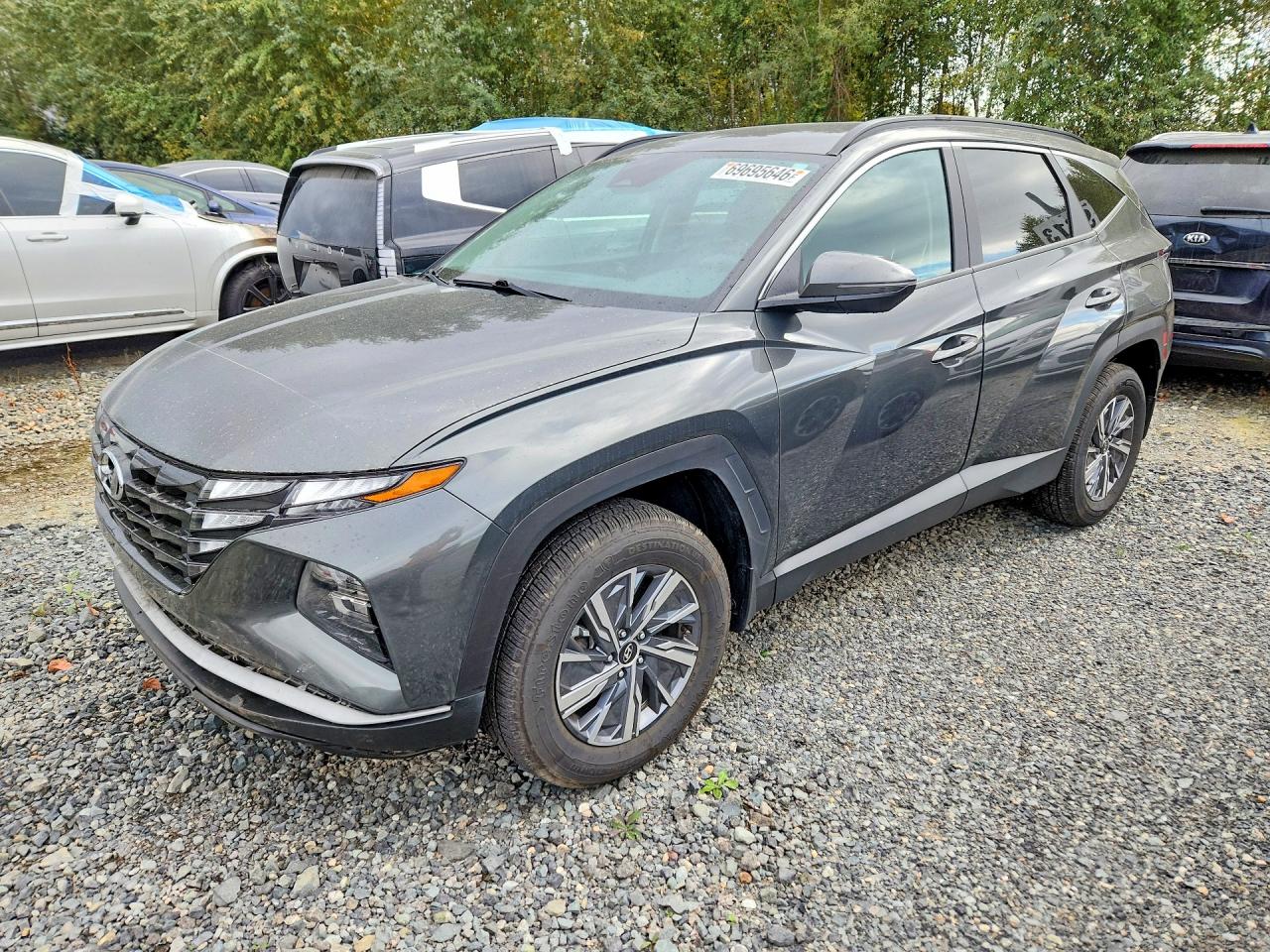 2023 HYUNDAI TUCSON BLUE | KM8JBCA13PU111664 | UPCARS