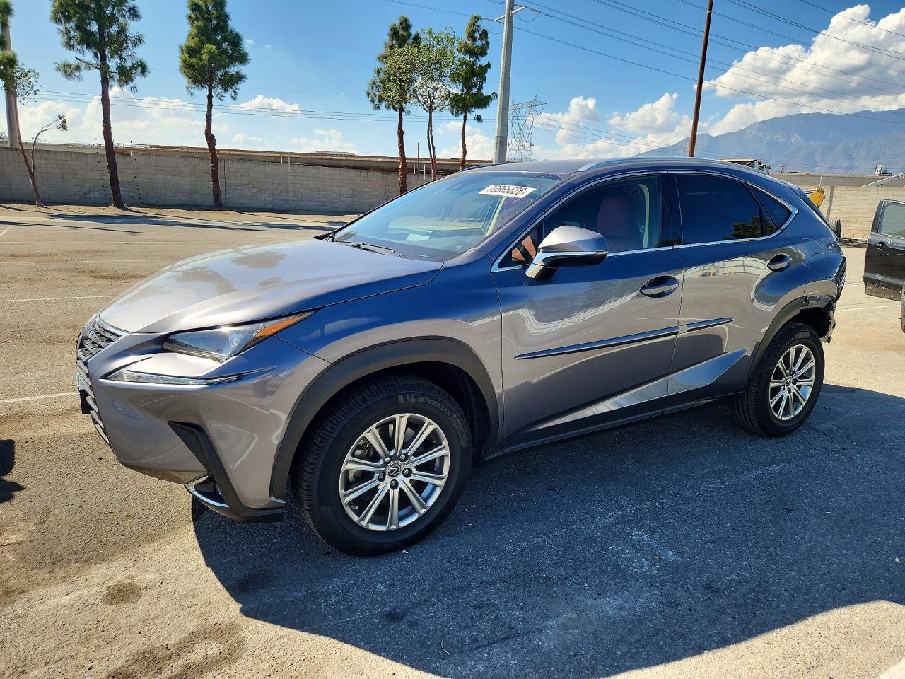 2020 LEXUS NX BASE | JTJAARBZ5L5014286 | UPCARS