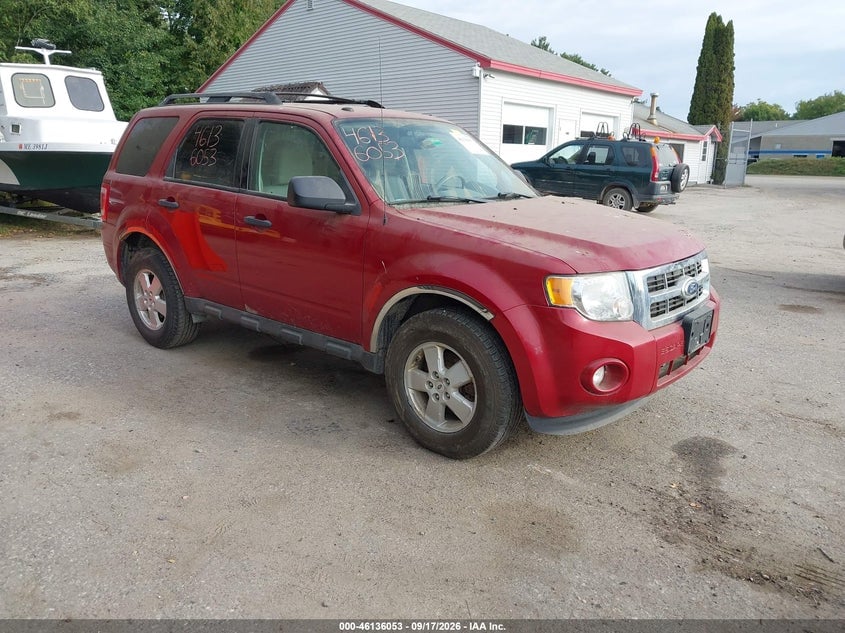2011 FORD ESCAPE XLT | 1FMCU9DG9BKB50768 | UPCARS
