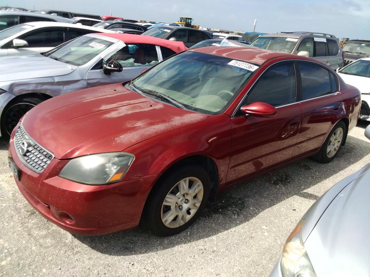 2005 NISSAN ALTIMA | 1N4AL11D25C196800 | UPCARS