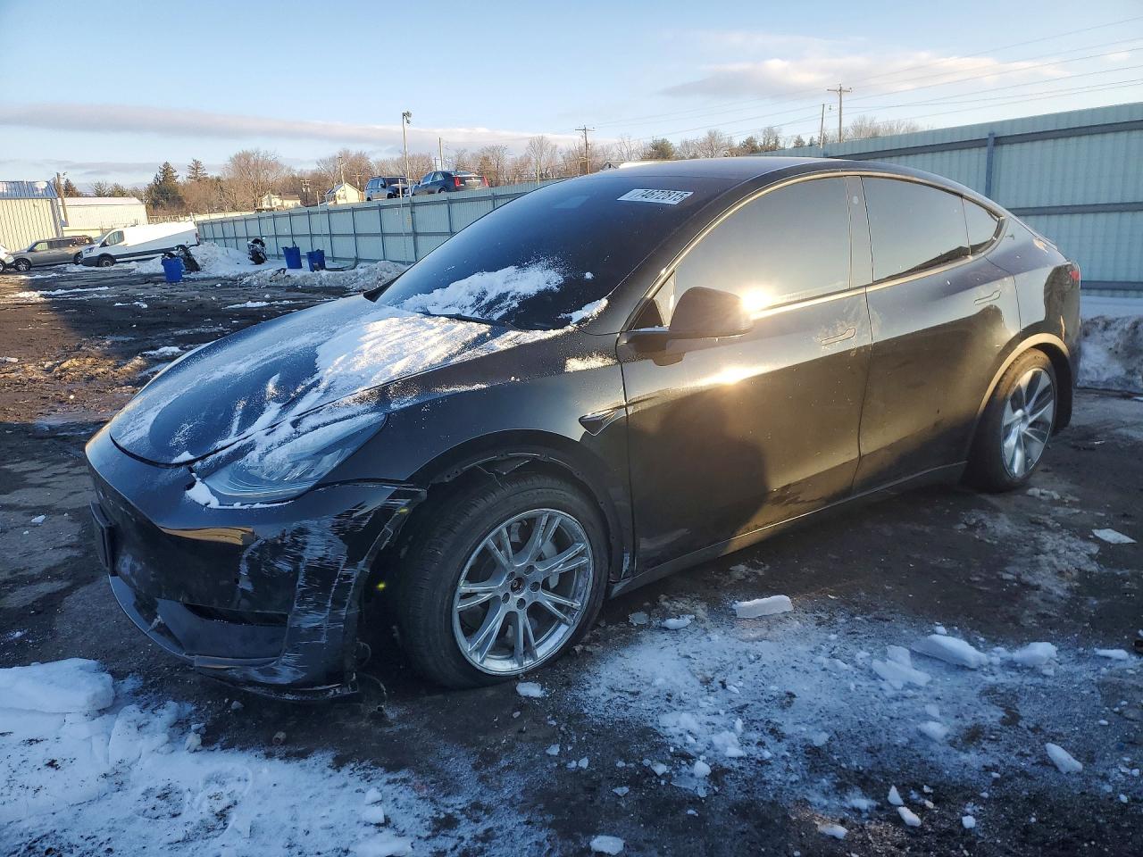 2021 TESLA MODEL Y | 5YJYGDEE1MF116969 | UPCARS