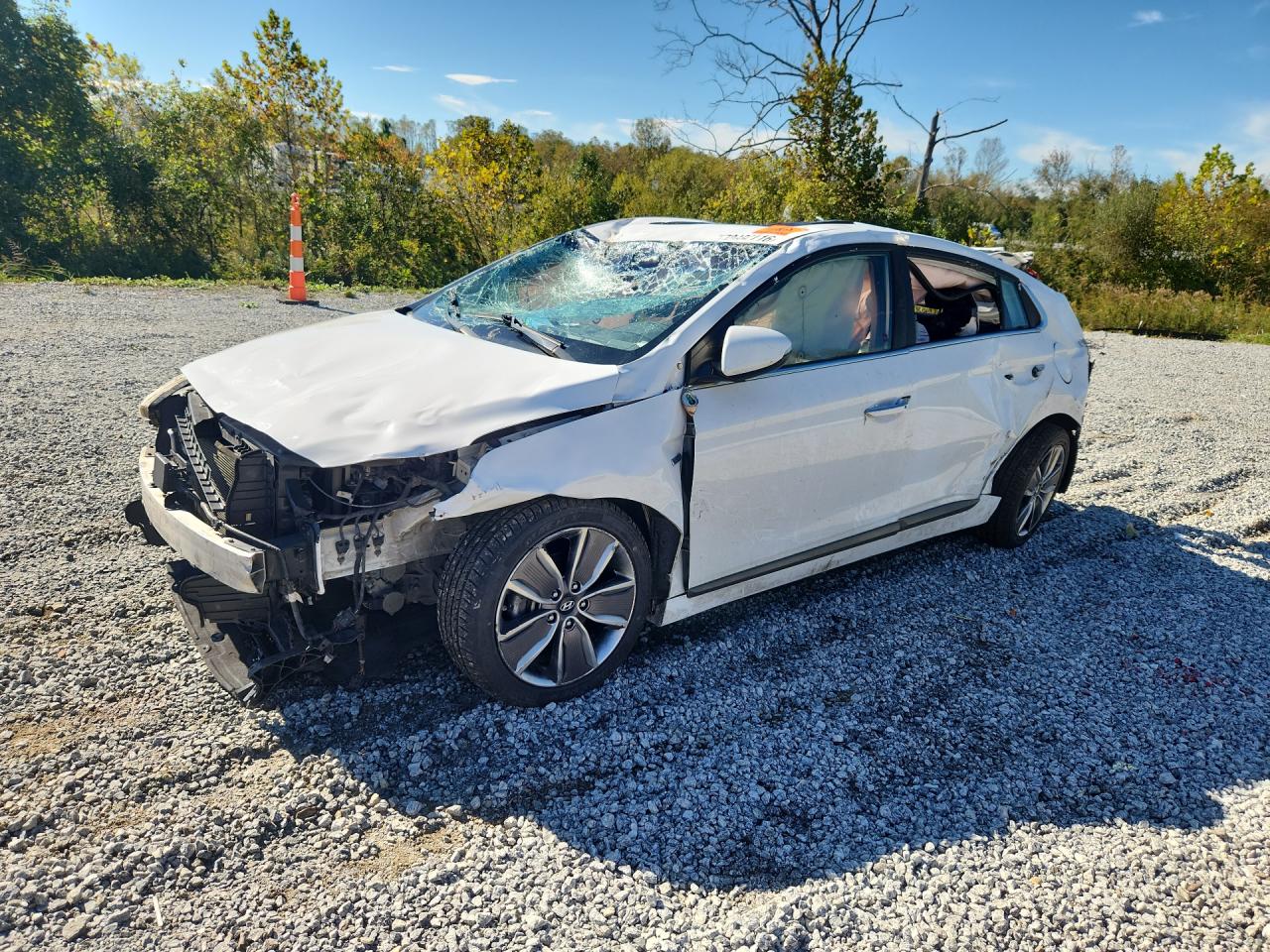 2019 HYUNDAI IONIQ LIMITED | KMHC05LC9KU136666 | UPCARS