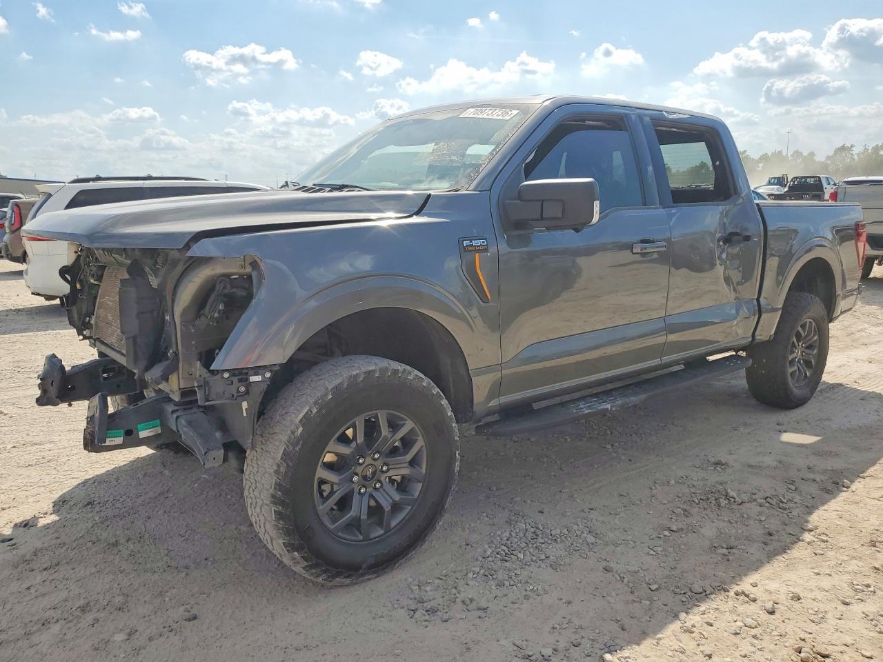 2025 FORD F150 TREMOR | 1FTFW4L59SFB65116 | UPCARS