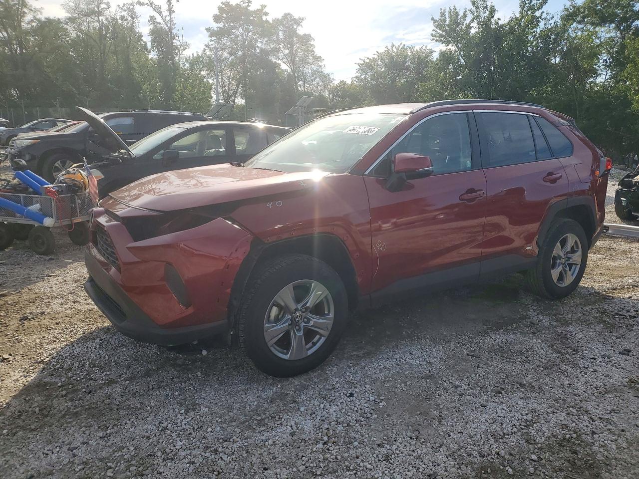 2025 TOYOTA RAV4 XLE | 4T3RWRFV4SU165917 | UPCARS