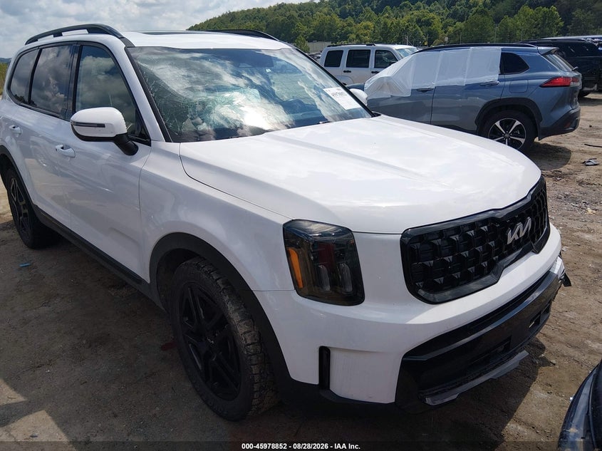 2024 KIA TELLURID EX X-LINE | 5XYP3DGC4RG493377 | UPCARS