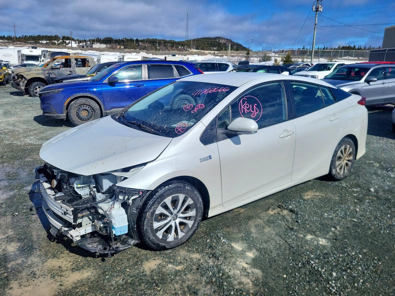 2021 TOYOTA PRIUS | JTDKAMFP4M3175924 | UPCARS