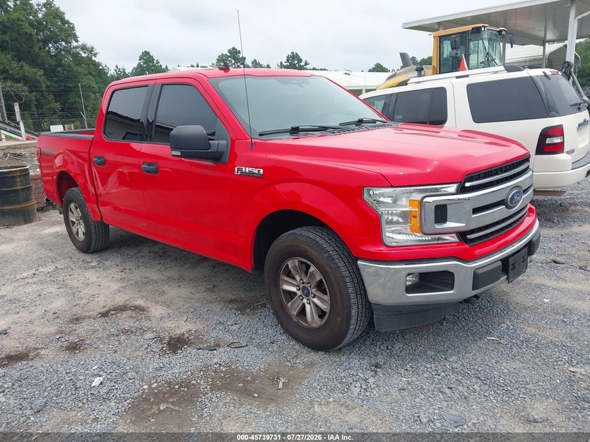 2019 FORD F-150 XLT | 1FTEW1EP5KKE23261 | UPCARS