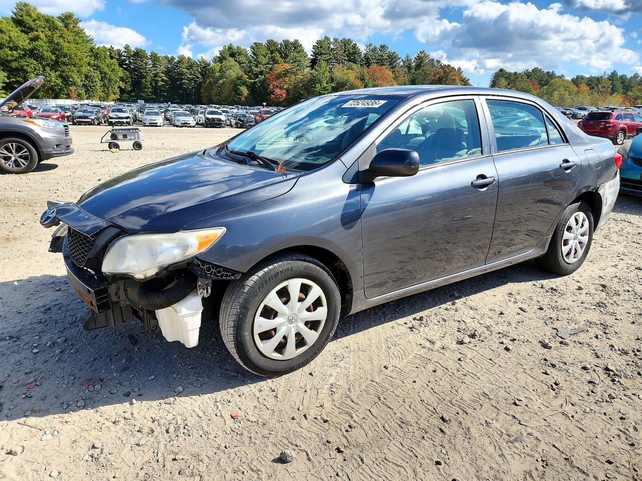 2009 TOYOTA COROLLA LE | 2T1BU40E39C174597 | UPCARS