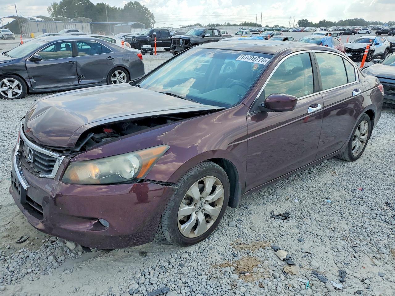 2010 HONDA ACCORD EXL | 5KBCP3F82AB004188 | UPCARS