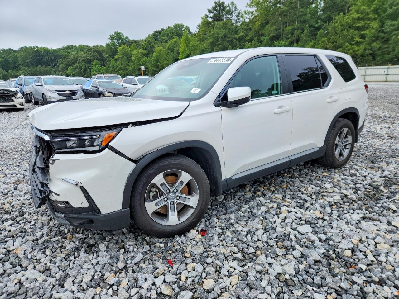 2025 HONDA PILOT EXL | 5FNYG2H4XSB037160 | UPCARS